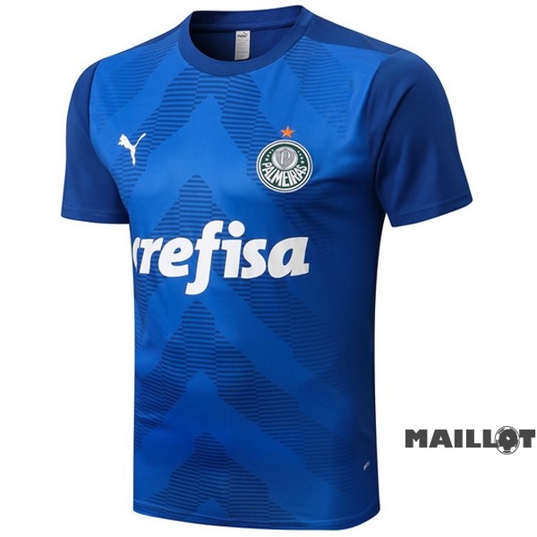 Foot Maillot Pas Cher Entrainement Palmeiras 2022 2023 Bleu