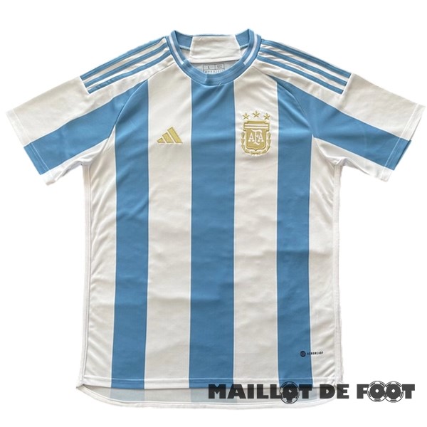 Foot Maillot Pas Cher Domicile Concept Maillot Argentine 2024 Bleu Blanc