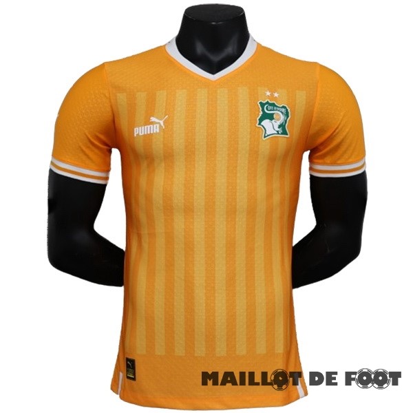 Foot Maillot Pas Cher Thailande Domicile Joueurs Maillot Côte d'Ivoire 2022 Orange