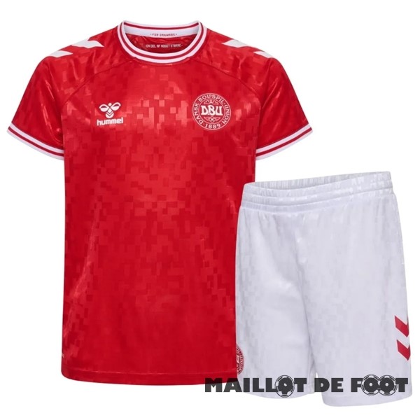 Foot Maillot Pas Cher Domicile Conjunto De Enfant Danemark 2024