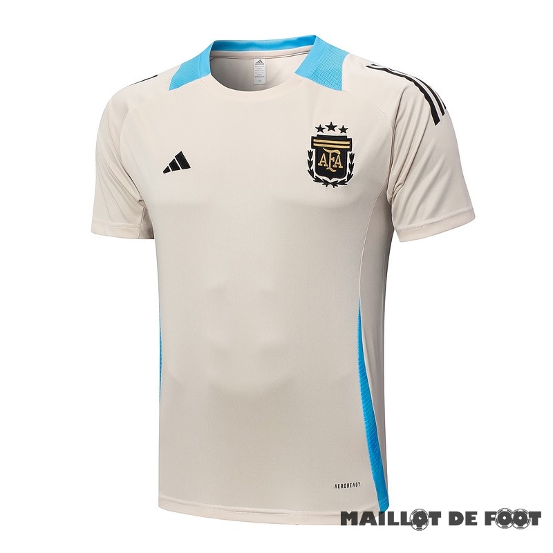 Foot Maillot Pas Cher Entrainement Argentine 2024 Jaune Bleu