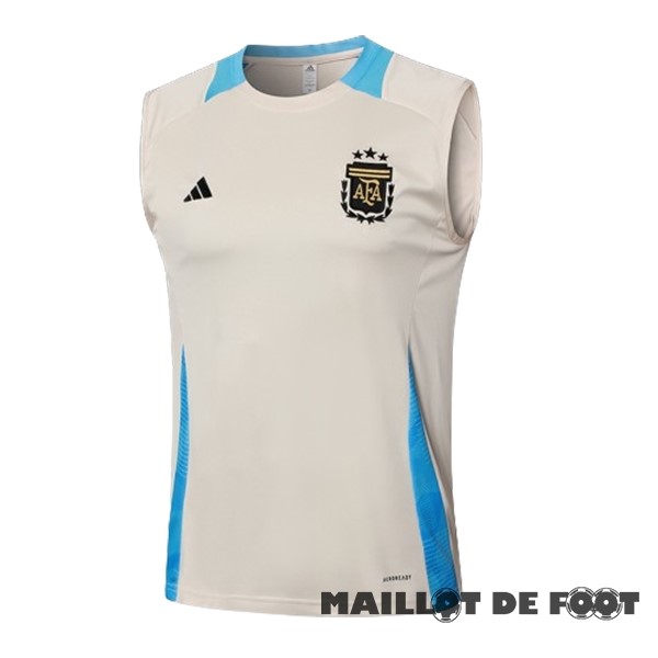 Foot Maillot Pas Cher Entrainement Sans Manches Argentine 2024 Jaune Bleu